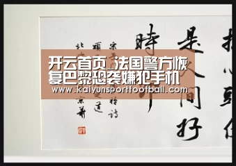 开云首页_法国警方恢复巴黎恐袭嫌犯手机 正欲调查内在信息(图1) 开云体育