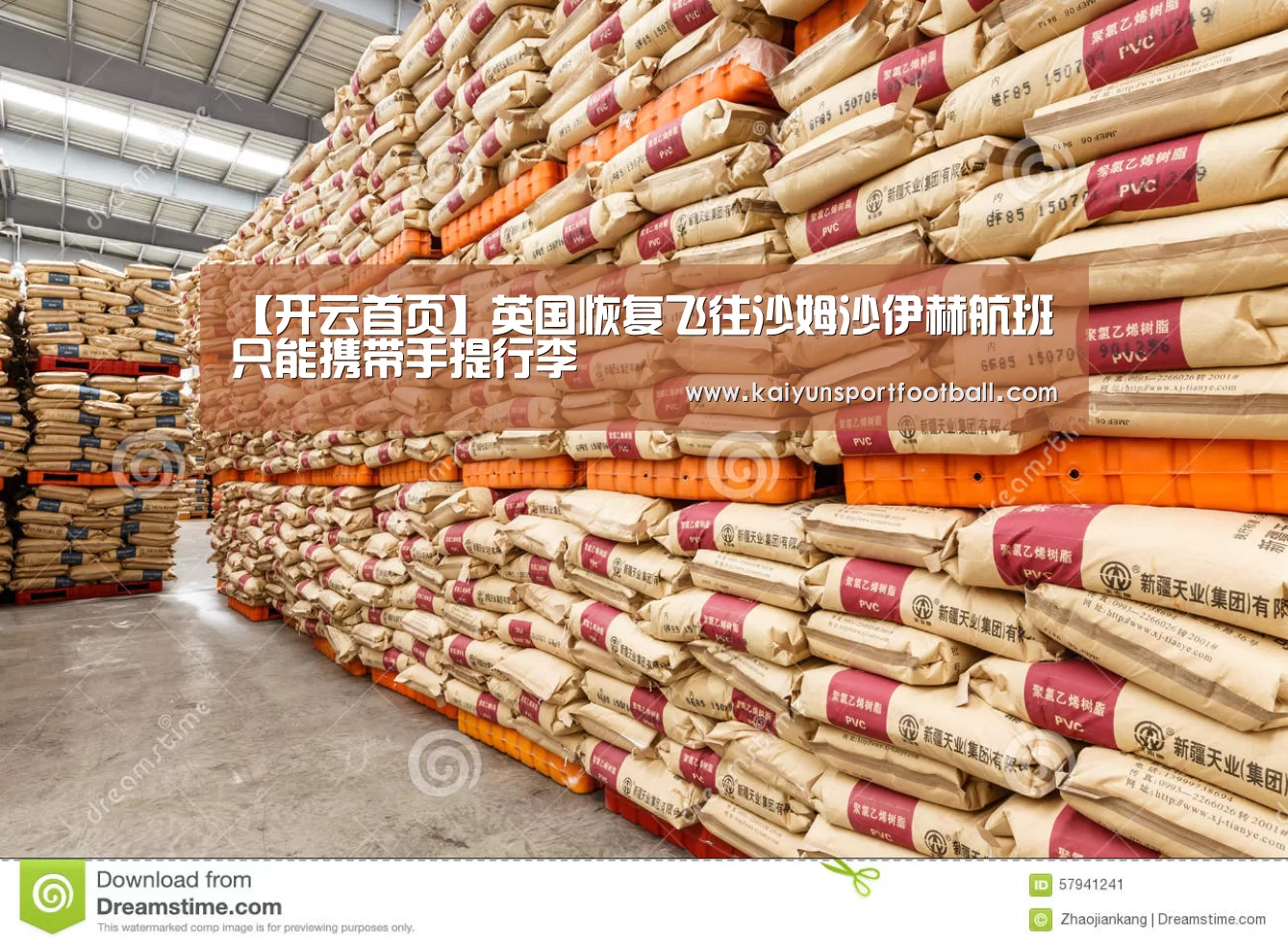 【开云首页】英国恢复飞往沙姆沙伊赫航班 只能携带手提行李(图1) 开云杯赛