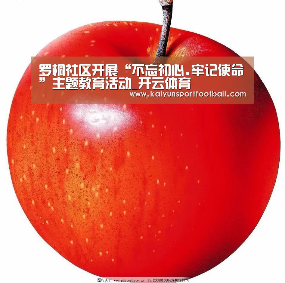 罗桐社区开展“不忘初心.牢记使命”主题教育活动_开云体育(图1) 开云官网