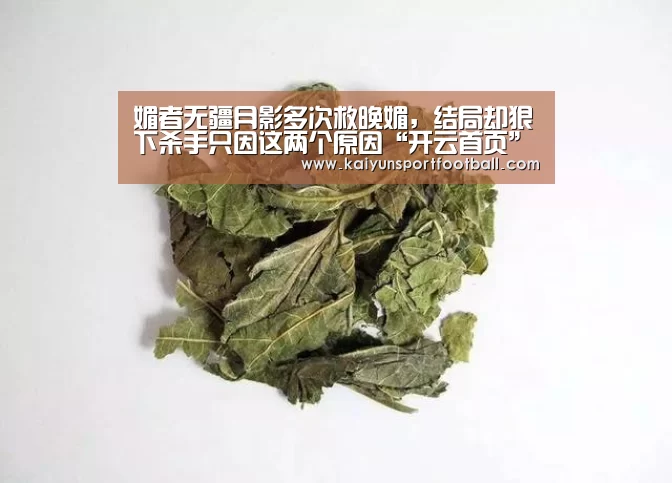 媚者无疆月影多次救晚媚,结局却狠下杀手只因这两个原因“开云首页”(图3) 开云首页