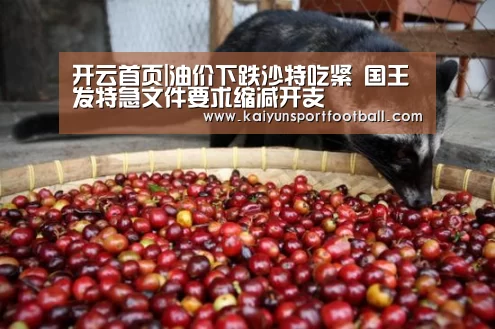 开云首页|油价下跌沙特吃紧 国王发特急文件要求缩减开支(图1) 开云官网