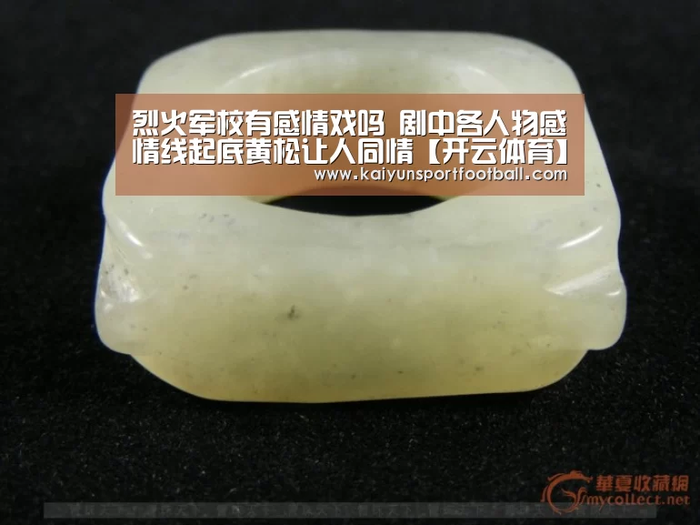 烈火军校有感情戏吗 剧中各人物感情线起底黄松让人同情【开云体育】(图1) 开云官网