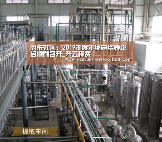 府东社区:2019年度年终总结表彰会顺利召开_开云杯赛(图2) 开云杯赛