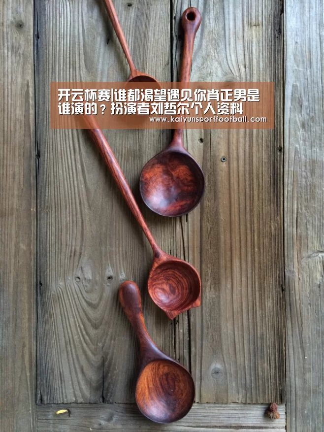 开云杯赛|谁都渴望遇见你肖正男是谁演的?扮演者刘哲尔个人资料(图2) 开云杯赛