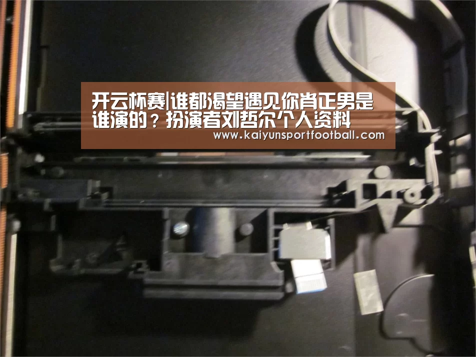 开云杯赛|谁都渴望遇见你肖正男是谁演的?扮演者刘哲尔个人资料(图4) 开云体育