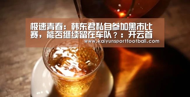 极速青春:韩东君私自参加黑市比赛,能否继续留在车队?:开云首页(图2) 开云首页